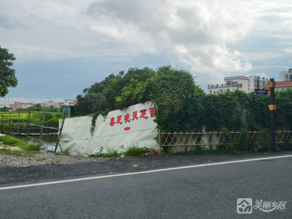 阜沙镇大有村产业发展用地项目