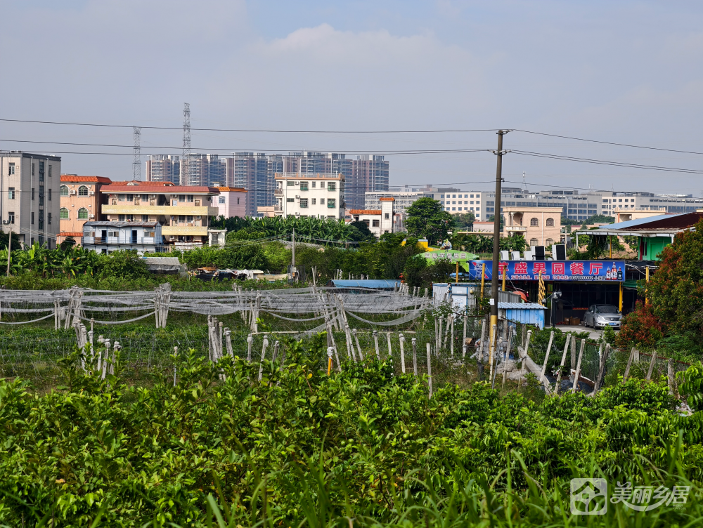 阜沙镇淇澳庄园