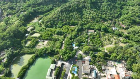 五桂山街道岐澳古道入口农文旅项目
