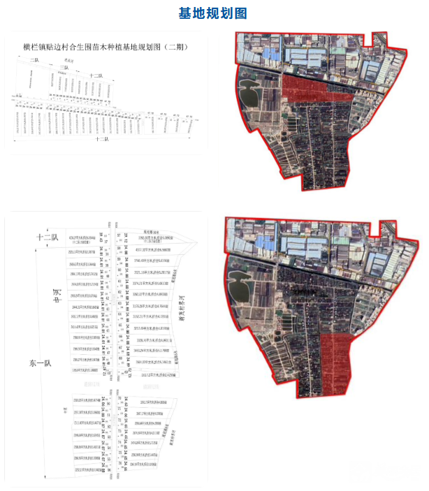 横栏镇贴边村合生围二期