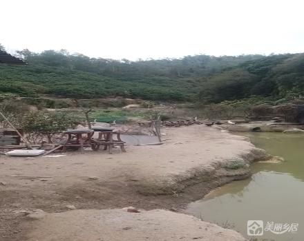 中山市南朗街道白企村筲箕环小组土名“松树窝”土地（中山市南朗镇白企村筲箕环股份合作经济社）
