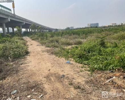 吴林枝屋边地（中山市小榄镇白鲤村第八经济合作社）
