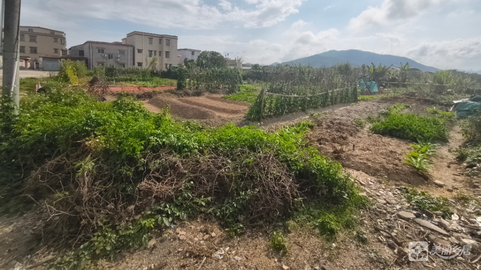 泮沙王屋田园地块