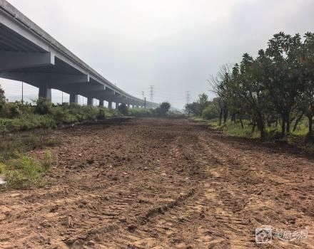 长围旱地44亩（中山市大涌镇叠石村股份合作经济联合社）