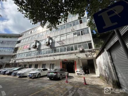 石岐区横坑街32号二楼（中山市石岐区张溪股份合作经济联合社）
