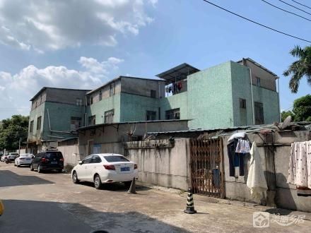 渡头渡兴东路北街105号（中山市南区渡头股份合作经济联合社）