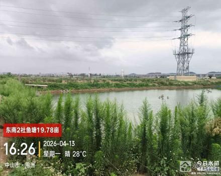 东南2社鱼塘（中山市三角镇东南村东南2社）