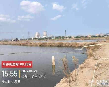 东会6社鱼塘（中山市三角镇东南村东会6社）