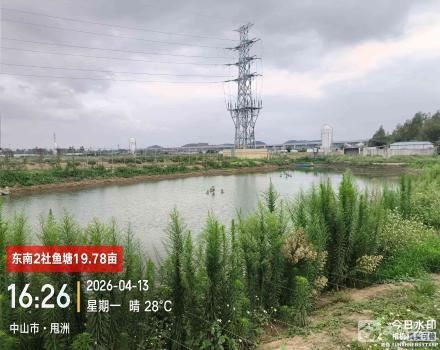 东南2社鱼塘（中山市三角镇东南村东南2社）