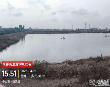 东会6社鱼塘（中山市三角镇东南村东会6社）