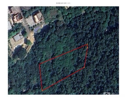 中山市坦洲镇新前进村枝埔经济合作社新村后山荒地出租项目（中山市坦洲镇新前进村枝埔经济合作社）