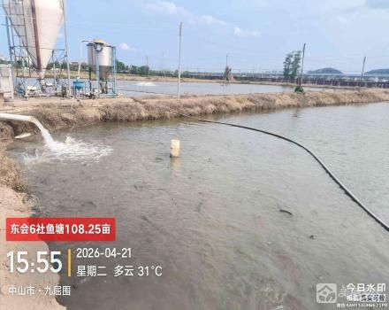 东会6社鱼塘（中山市三角镇东南村东会6社）