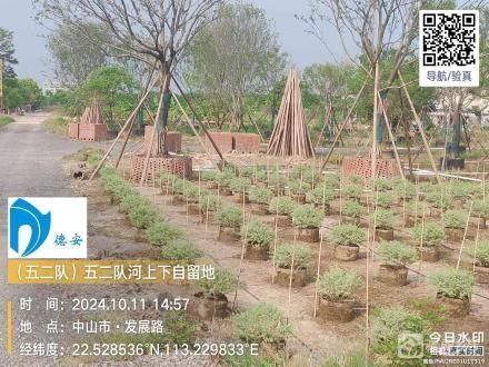 横栏镇宝裕村五二河上下自留地（中山市横栏镇宝裕股份合作经济联合社（五二队））