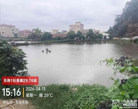 鱼塘围上梪鱼塘（中山市三角镇东南村东南1社）