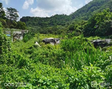 石鼓窝坑口地（中山市板芙镇白溪村虎一经济合作社）