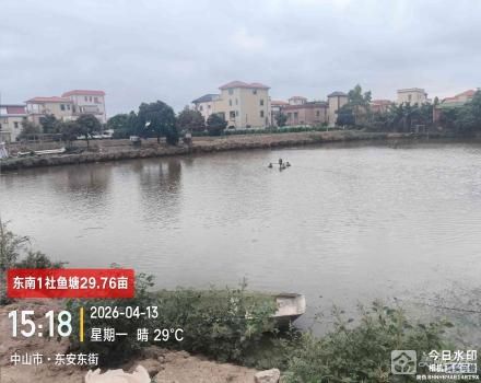 鱼塘围上梪鱼塘（中山市三角镇东南村东南1社）