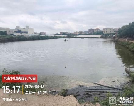 鱼塘围上梪鱼塘（中山市三角镇东南村东南1社）