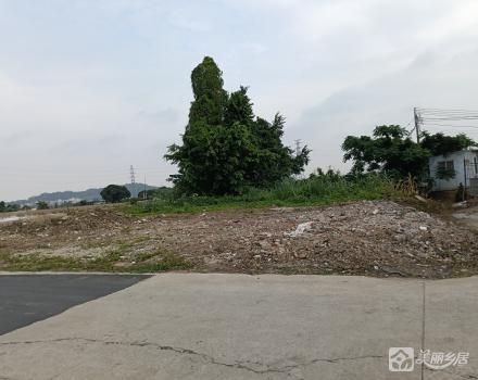 三社1队德星沙二围头尾5土地发包（中山市黄圃镇三社社区第一股份合作经济社）
