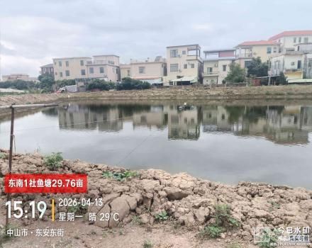 鱼塘围上梪鱼塘（中山市三角镇东南村东南1社）