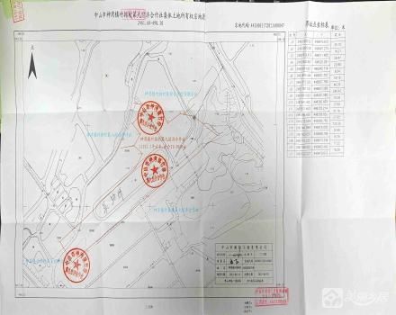 竹排村三围长塘场地（中山市神湾镇竹排第九经济合作社）