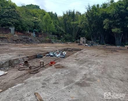 英渡公荒地（中山市板芙镇深湾村新下经济合作社）