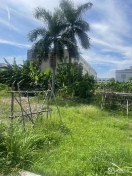 中山市东凤镇小沥社区股份合作经济联合社17小区土地（2000平方米）