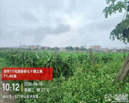 中山市三角镇沙栏村合作11社胡彭份七十围土地71.46亩、四十围胡彭横路边土地20.1亩、六十围土地23.94亩、四十围耕地13.66亩共129.16亩