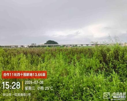 中山市三角镇沙栏村合作11社胡彭份七十围土地71.46亩、四十围胡彭横路边土地20.1亩、六十围土地23.94亩、四十围耕地13.66亩共129.16亩