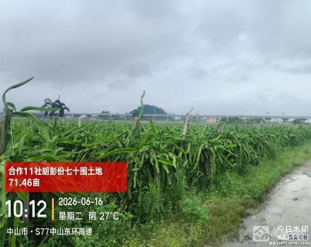 中山市三角镇沙栏村合作11社胡彭份七十围土地71.46亩、四十围胡彭横路边土地20.1亩、六十围土地23.94亩、四十围耕地13.66亩共129.16亩