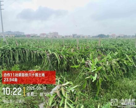 中山市三角镇沙栏村合作11社胡彭份七十围土地71.46亩、四十围胡彭横路边土地20.1亩、六十围土地23.94亩、四十围耕地13.66亩共129.16亩