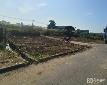 横栏镇三沙村五组大围8号地（ 中山市横栏镇三沙股份合作经济联合社（五组））