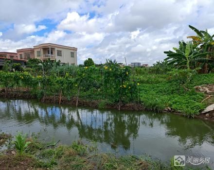 小榄镇坦背村第十二经济合作社旧地堂土地（1号之1）、旧地堂土地（2号之1）