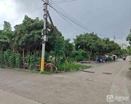 小榄镇坦背村第十二经济合作社旧学校土地（1号）、旧学校土地（2号）