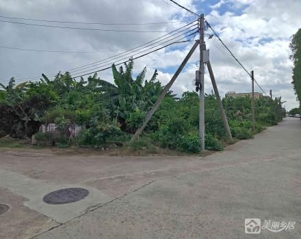 小榄镇坦背村第十二经济合作社旧学校土地（1号）、旧学校土地（2号）