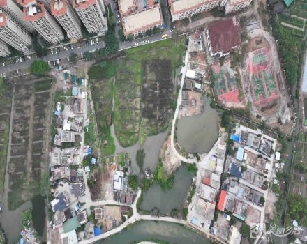 中山市坦洲镇永一村合昌小组39.7351亩土地（ 中山市坦洲镇永一村合昌经济社）