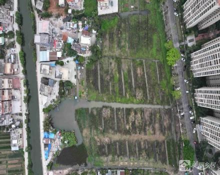 中山市坦洲镇永一村合昌小组39.7351亩土地（ 中山市坦洲镇永一村合昌经济社）