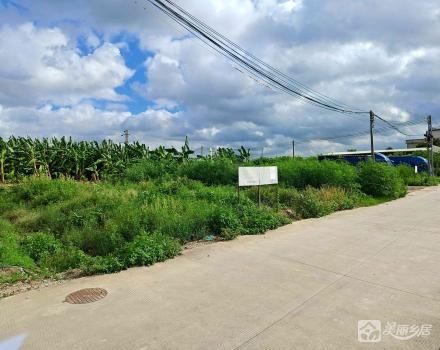 小榄镇坦背村第十二经济合作社旧地堂土地（1号之1）、旧地堂土地（2号之1）