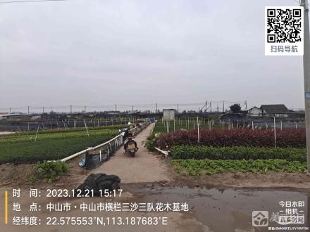 西边寨花地8号地（中山市横栏镇三沙股份合作经济联合社（五组））