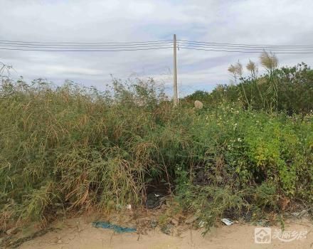 西边寨花地11号地（中山市横栏镇三沙股份合作经济联合社（五组））