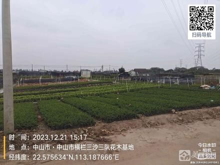 西边寨花地8号地（中山市横栏镇三沙股份合作经济联合社（五组））