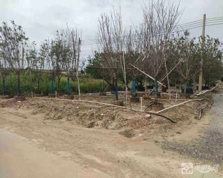 西边寨花地10号地（中山市横栏镇三沙股份合作经济联合社（五组））