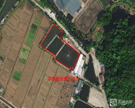 柒零壹鱼塘10.5亩（中山市大涌镇起凤环社区股份合作经济联合社）