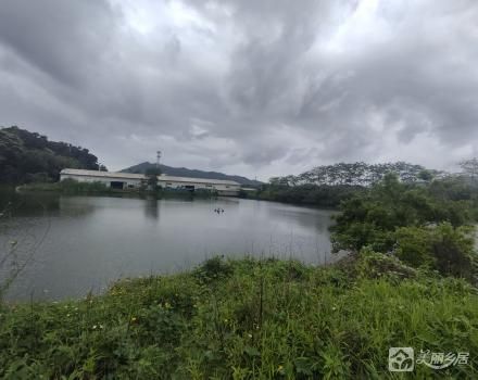 中山市南朗街道白企村观音座小组土名“横坑”鱼塘及土地
