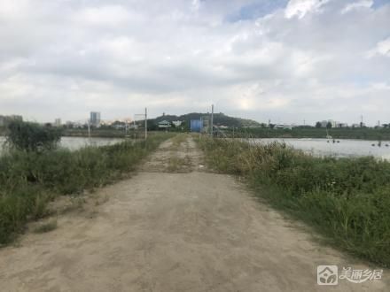 大兜度鱼塘（中山市阜沙镇大有村第十股份合作经济社）