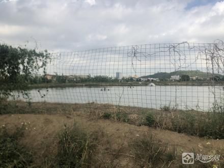 大兜度鱼塘（中山市阜沙镇大有村第十股份合作经济社）