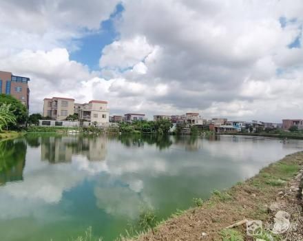 中山市东凤镇东和平村第五小区丁深来前塘及丁带来前塘（带基地）