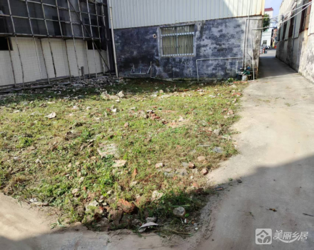 横栏镇新丰村原永丰小学旁土地（中山市横栏镇新丰股份合作经济联合社）