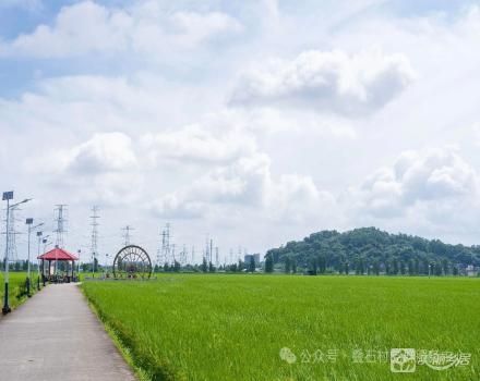 上下九十亩禾田302.04亩（中山市大涌镇叠石村股份合作经济联合社）