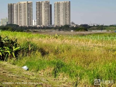 东凤镇同安村第二小区03号围外土地（中山市东凤镇同安村第二小区经济合作社）