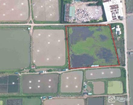 群联村五福小组约18亩耕地（中山市坦洲镇群联村五福队）